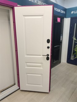 Морозостойкая взломостойкая дверь Русская Зима с Двухцветным коробом 2506 - фото 9233